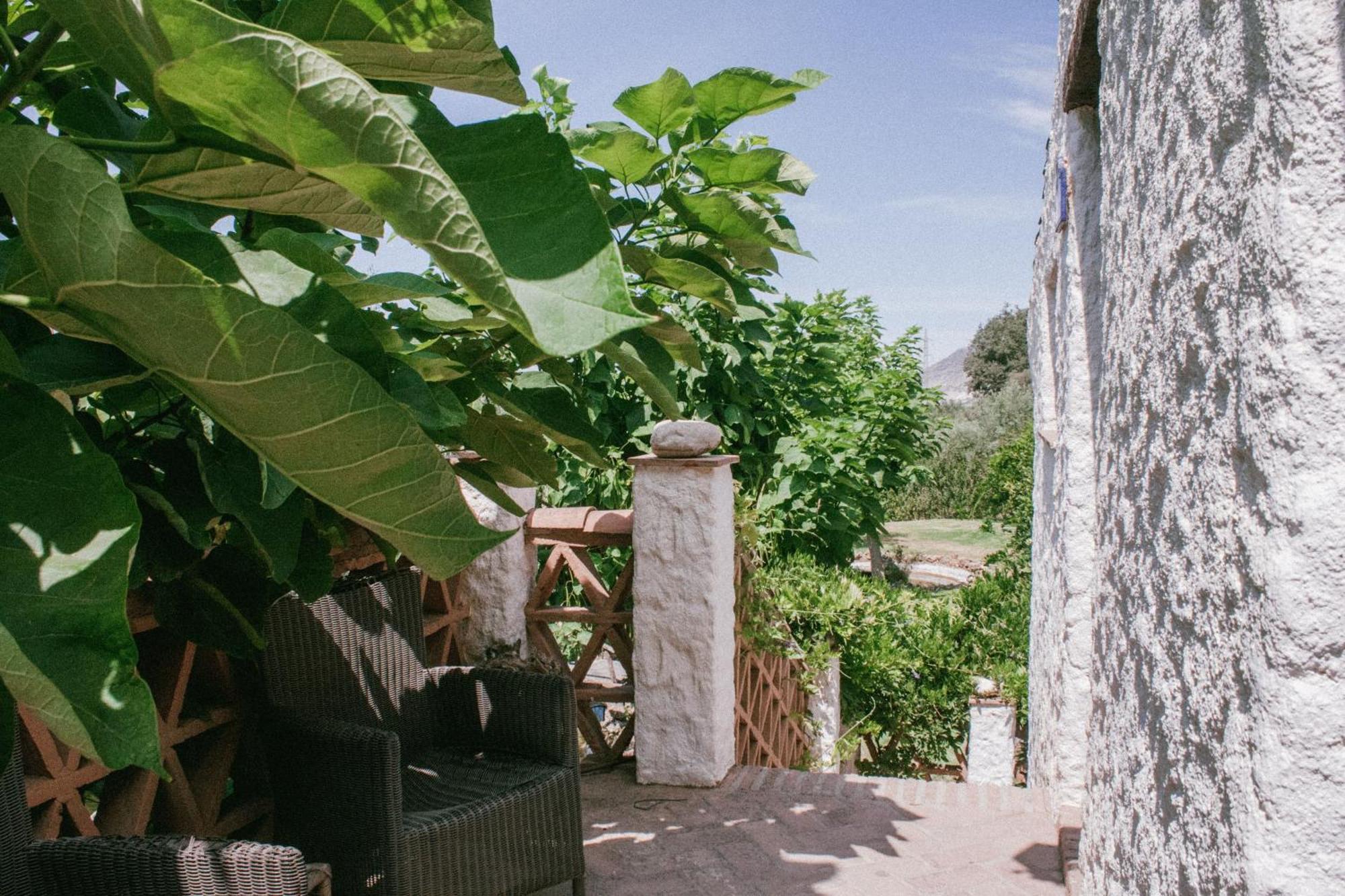 Hotel Rural Alqueria De Los Lentos Nigüelas Δωμάτιο φωτογραφία