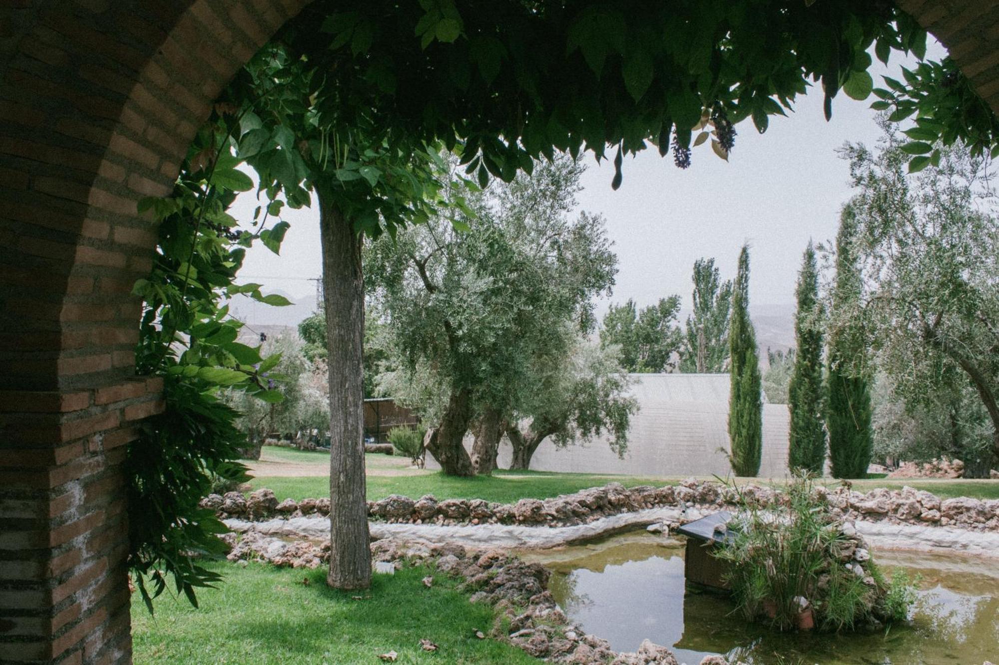 Hotel Rural Alqueria De Los Lentos Nigüelas Δωμάτιο φωτογραφία